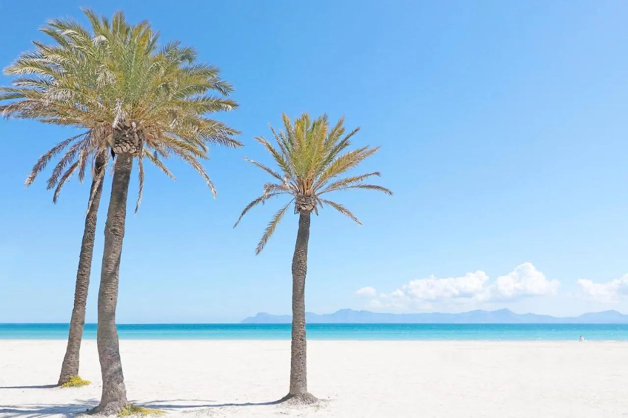 *** Aparthotel Bonavida Apartments Port de Alcudia  Spagna